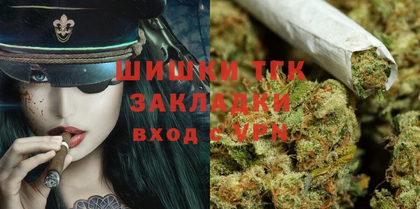 сатива Алзамай
