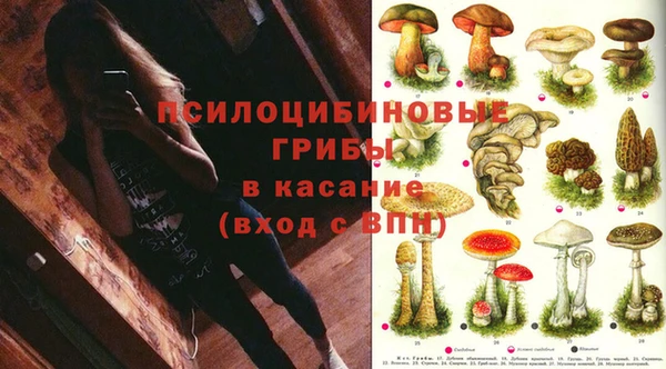 ПСИЛОЦИБИНОВЫЕ ГРИБЫ Алексин